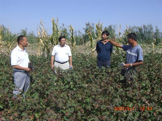 07年8月到農(nóng)七師試驗地.jpg