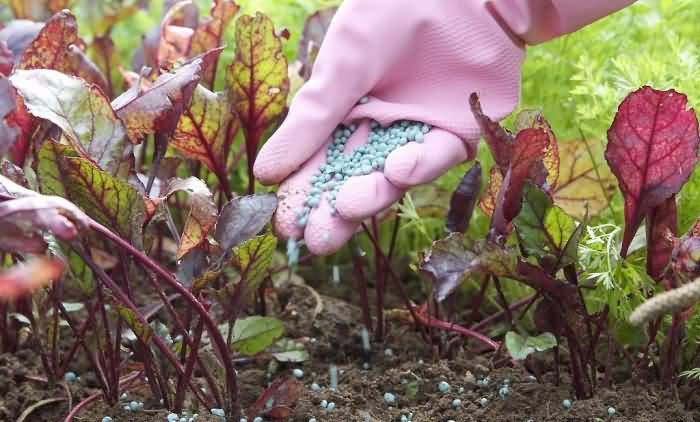 微信圖片_20200708214335.jpg 微信圖片_20200708214335.jpg