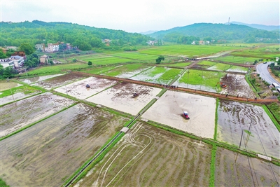 微信圖片_20211029124548.jpg 微信圖片_20211029124548.jpg