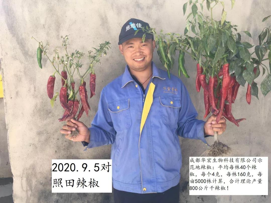 2022012716432546755561765.jpg 2022012716432546755561765.jpg