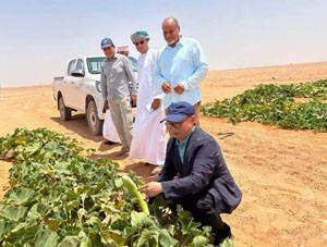 20230702030947874.jpg 20230702030947874.jpg