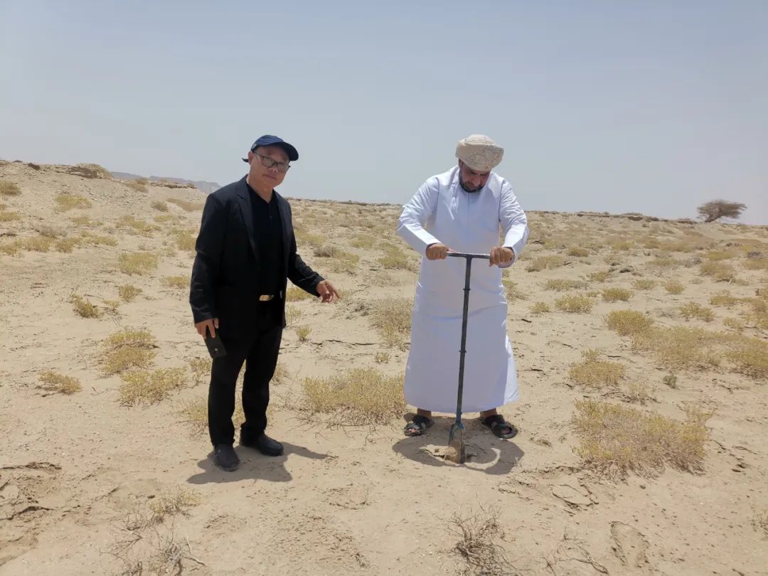 640 (10).jpg 640 (10).jpg