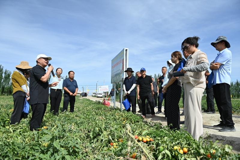 W020240712626846133292_800.jpeg W020240712626846133292_800.jpeg