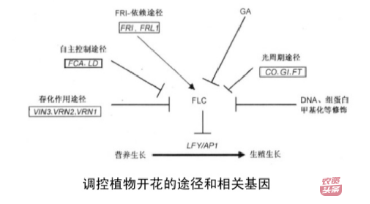微信圖片_20250510203623.png 微信圖片_20250510203623.png
