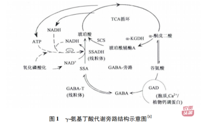 微信圖片_20250510203623.png 微信圖片_20250510203623.png