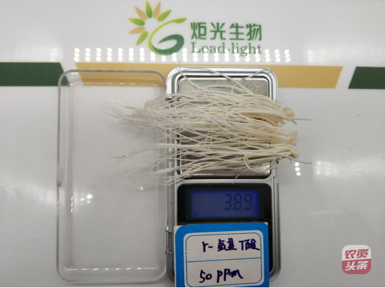 media_1578474542127.png media_1578474542127.png